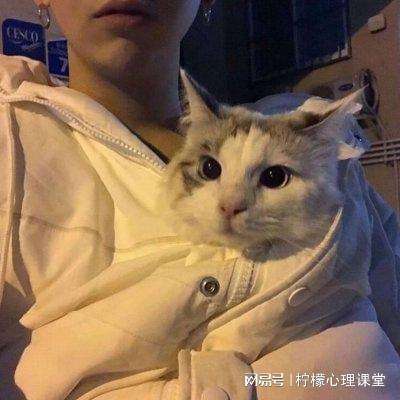 世界杯买球下单平台